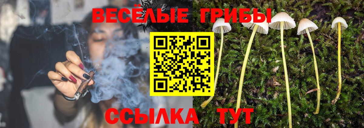 Галлюциногенные грибы Magic Shrooms  Вход с VPN  Красногорск 